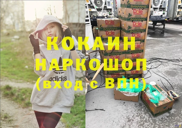 спайс Арсеньев